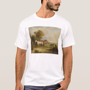 Camiseta Cavalos que pastam: Um garanhão cinzento que past