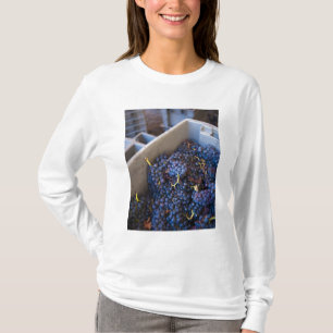 Camiseta Cave de Bodega Marques de Riscal, uvas