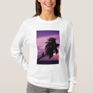 Camiseta Caye Ambergris, Belize, América Central.