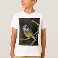 Cedar Waxwing Songbird Original Foto de Pássaro Se