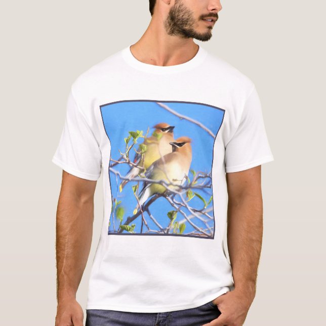 Camiseta Cedar Waxwings (Frente)
