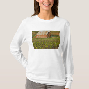 Camiseta Celeiro vermelho antigo na borda do vinhedo Zinfan