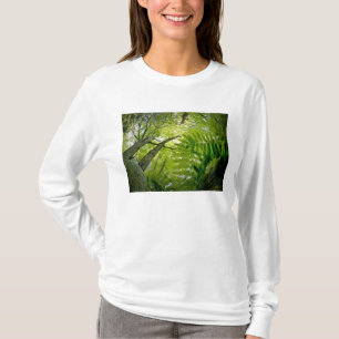 Camiseta Cena de floresta no Parque Nacional Acadia, Maine.