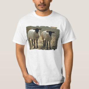 Camiseta Cena pastoral de ovelhas Suffolk no pasto ou quint