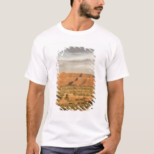 Camiseta Cenário de paisagem desértica de inverno no caminh