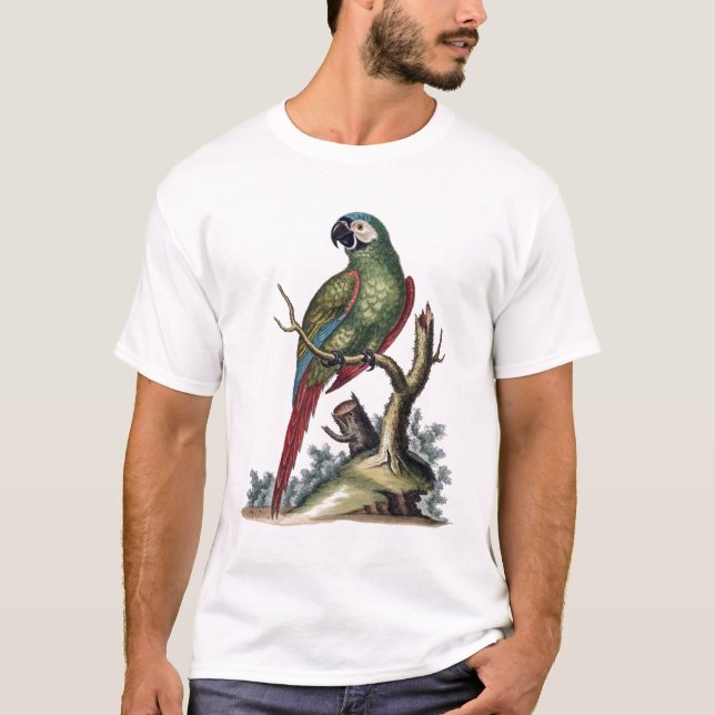 Camiseta Cenário Verde Antiquado (Frente)