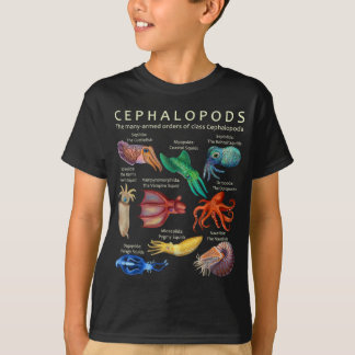 Camiseta Cephalopod Octopus Squid Cuttlefish