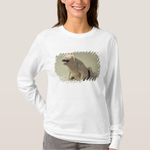 Camiseta Cerâmica chinesa adiantada cão assentado, túmul
