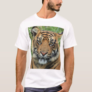 Camiseta Certamente! Para um compro online que vende T-shir