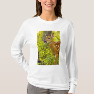 Camiseta Cervo-de-cauda-branca jovem em Whitefish, Montana,