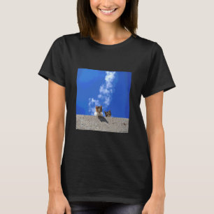 Camiseta céu azul e gato_001