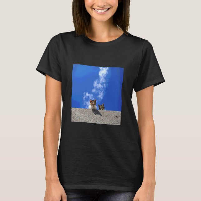 Camiseta céu azul e gato_001 (Frente)
