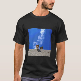Camiseta céu azul e gato_001