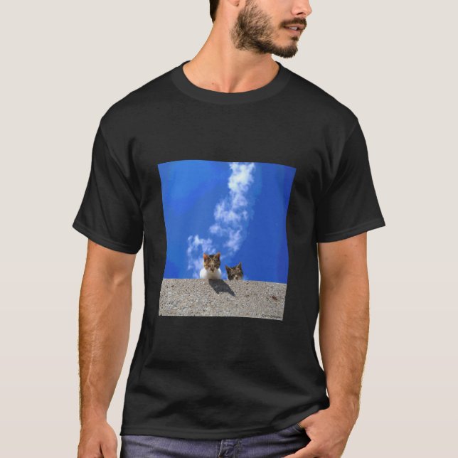 Camiseta céu azul e gato_001 (Frente)