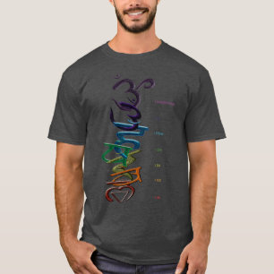 CAMISETA CHAKRAS