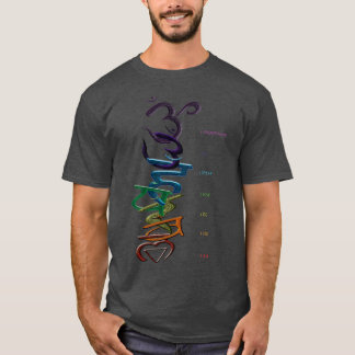 CAMISETA CHAKRAS