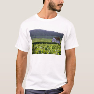 Camiseta Chambertin Clos de Beze Grand Cru vinhedo com