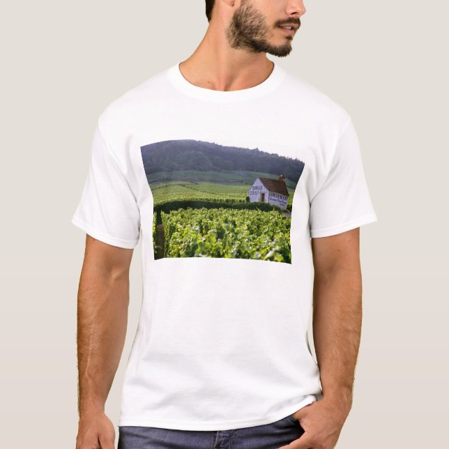 Camiseta Chambertin Clos de Beze Grand Cru vinhedo com (Frente)