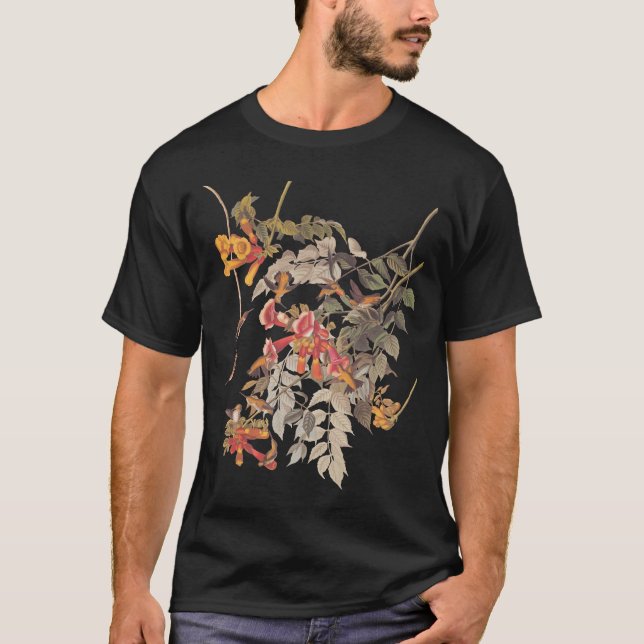 Camiseta Chapa de Audubon de Pássaros Humigados Ruby 47 (Frente)