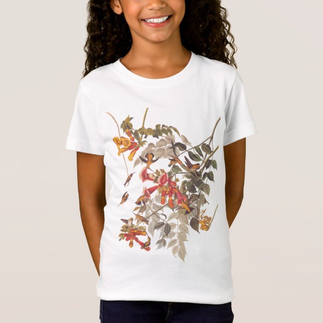 Camiseta Chapa de Audubon de Pássaros Humigados Ruby 47 (Frente)