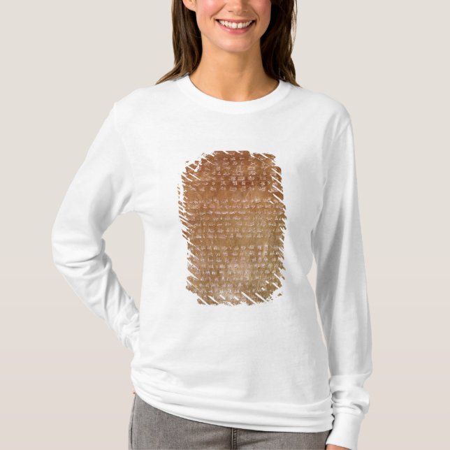 Camiseta Chapa de Darius mim 550-500 BC (Frente)