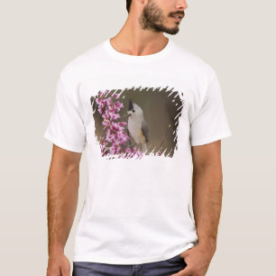 Camiseta Chapim-de-crista-preta, Baeolophus