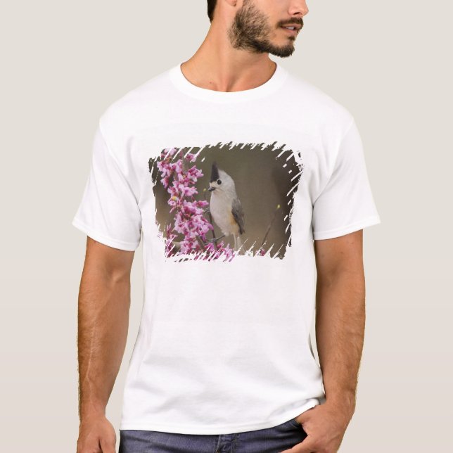 Camiseta Chapim-de-crista-preta, Baeolophus (Frente)