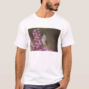 Camiseta Chapim-de-crista-preta, Baeolophus