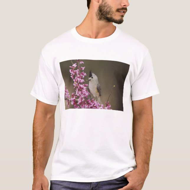 Camiseta Chapim-de-crista-preta, Baeolophus (Frente)