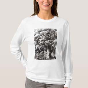 Camiseta Charles II escondido no carvalho