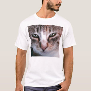 Camiseta Charlotte