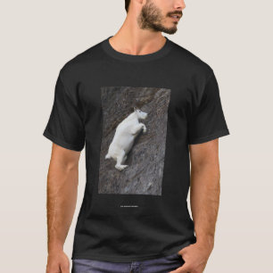 Camiseta Charlotte Bronte