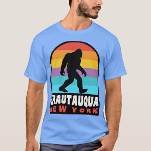 Camiseta Chautauqua Lake New York NY Retro