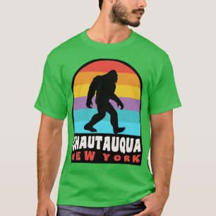 Camiseta Chautauqua Lake New York NY Retro