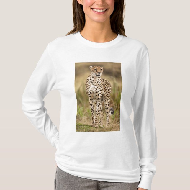 Camiseta Cheetah, Acinonyx jubatus, no Masai Mara (Frente)