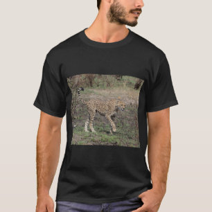Camiseta Cheetah Em Movimento, Quênia.
