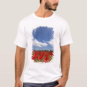 Camiseta Cheio do campo de flores vermelhas