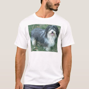 Camiseta cheio havanese