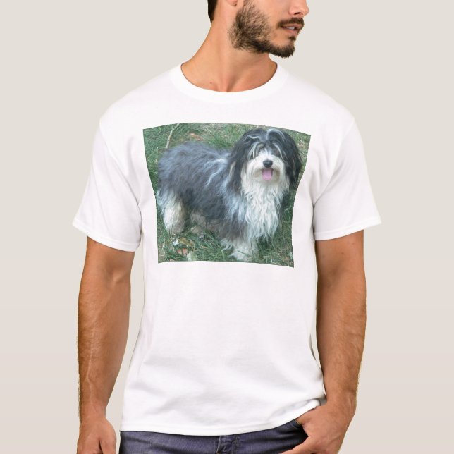 Camiseta cheio havanese (Frente)