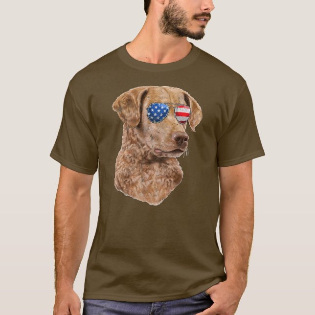 Camiseta Chesapeake Bay Retriever American Flag 4º (Frente)