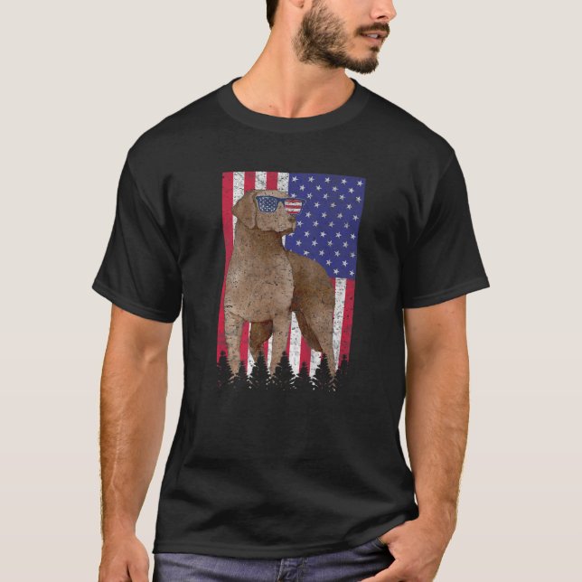 Camiseta Chesapeake Bay Retriever Patriever Dog EUA América (Frente)