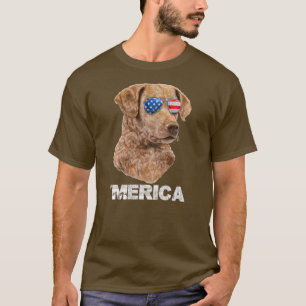Camiseta Chesapeake Bay Retriever Sunglass USA EUA
