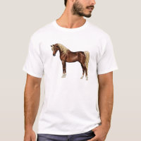 Chestnut Flaxen Mane Egípcio Cavalo Árabe G