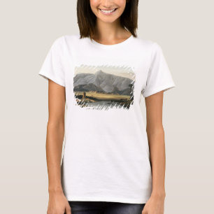 Camiseta Chevalpettore, placa V da parte 6 'do Sc oriental