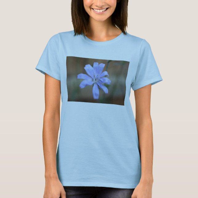 Camiseta Chicória (Cichorium intybus) (Frente)