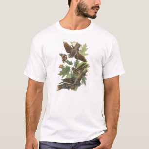 Camiseta Chicote-pobre- por Audubon