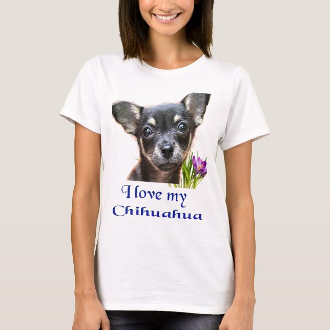 Camiseta chihuahua (Frente)