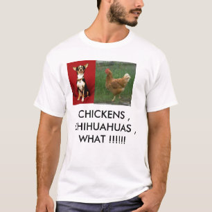 Camiseta chihuahua, galinha, GALINHAS, CHIHUAHUAS, WHA…
