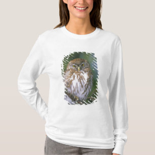 Camiseta Chile, Aysen. Coruja-bataria jovem