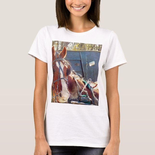 Camiseta Chilning Amish Horse (Frente)